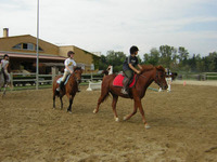 Centre Équestre des Costières - Centre Equestre à Nîmes