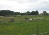 Centre Equestre des Monts Vert - Centre Equestre à Ids Saint Roch (18)