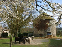 Centre Équestre du Clos - Poney-Club à Saint-Aquilin-de-Pacy