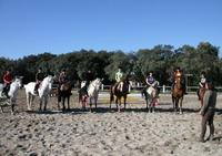 Centre Équestre du Frigouyé - Centre Equestre à Rochefort-du-Gard