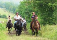 Centre Equestre du Montcelet à Saint Gervazy