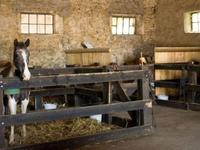 CENTRE EQUESTRE DU PATUREAU à Oriocourt