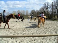 Centre Équestre et Poney Club Ferme Équestre de Tr - Centre Equestre à Landujan