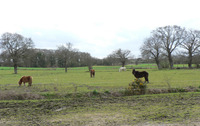 Centre Équestre et Poney Club la Cravache - Centre Equestre à Saint-Coulomb