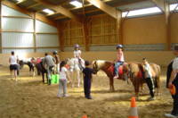 Centre Equestre, Poney-Club à la Fourerie à Villeveque