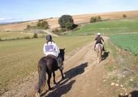 Centre Équestre la Feniere - Centre Equestre Les Mées