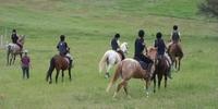 Centre Équestre la Foulée des Chênes - Randonnée à Cheval à Vaumeilh