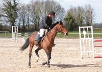 Centre équestre le Logis du Poney - Centre Equestre à Saint-Sauvant