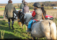 Centre équestre Les Ecuries Carrah - Centre Equestre à Leigné-les-Bois