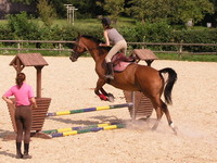 Centre Équestre Sainte-Catherine - Centre Equestre à Hirson