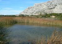 CENTRE ÉQUESTRE CLOS SAINTE VICTOIRE - Centre Equestre à Saint-Antonin-sur-Bayon