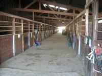 CENTRE ÉQUESTRE ET PONEY-CLUB SHU DE ROUEN - Centre Equestre à Mont-Saint-Aignan