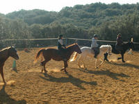 Centre équestre le Mazet - Centre Equestre à Bidon