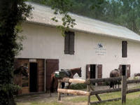 Centre équestre Lous Chivaus - Centre Equestre à Aureilhan