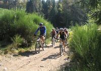 Centre VTT du Mas de Roux - Location de Vélo à Bragassargues