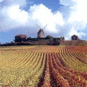 Champagne Lepreux Penet - Domaine Viticole à Verzy