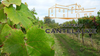 Château Cantelauze - Domaine Viticole à Duravel