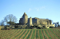 Château de Benauge - Château à Arbis (33)