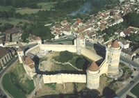 Château de Blandy-les-Tours - Château à Blandy (77)