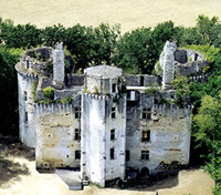 Château de l'Herm - Château à Rouffignac Saint Cernin de Reilhac (24)