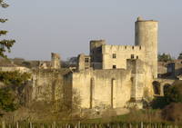 Château de Rauzan - Château à Rauzan (33)