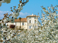 Château Mirandole - Tourisme Viti-Vinicole - Oenotourisme à Pont-Saint-Esprit