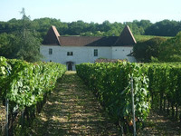 Chateau Tour de Miraval - Domaine Viticole à Saint Matré