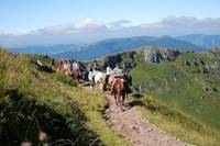 Cheval Découverte - Randonnée à Cheval à Polminhac