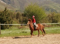 Cheval Vert - Randonnée à Cheval à Arrigas