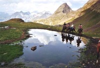 Chevauchée Pyrénéenne - Randonnée à Cheval à Sévignacq-Meyracq