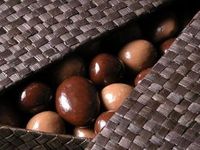 Chocolaterie de Puyricard - Chocolaterie à Puyricard (13)