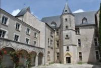 Château de Beaugency - Château à Beaugency (45)