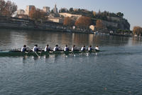 Comité Départemental des Sociétés d'Aviron de Vauc à Avignon