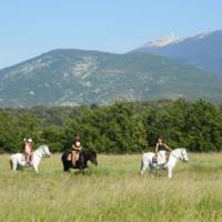 Corambé Balades à Cheval - Randonnée à Cheval à Entrechaux (84)