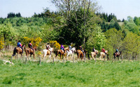 Corrèze Chemins & Découvertes - Randonnée Pédestre à Darnets