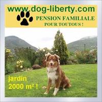 Dog Liberty - Pension pour Chien à Escragnolles