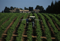 Domaine de Calet - Tourisme Viti-Vinicole - Oenotourisme à Beauvoisin