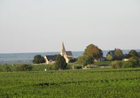 Domaine de Rocheville - Domaine Viticole à Artannes sur Thouet
