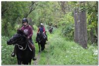 Domaine Dilki - Centre Equestre - Balades à cheval, Balades à poney, Randonnées à cheval, Le Vigeant (86)