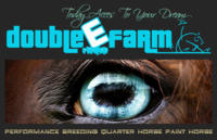 Double E Farm - Elevage de Chevaux, Vente de chevaux, Quarter Horse à Petit-Tenquin (57)