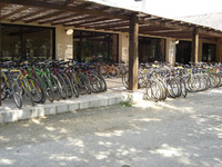 Eco Cycles - Location de Vélo à Mérignac
