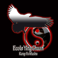 Ecole Ying Chuan - Kung Fu à Mauguio (34)