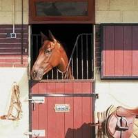 Ecurie Alric - Centre Equestre à Maisons-Laffitte