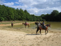 Ecuries de la Colinière - Randonnée à Cheval à Cheverny