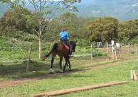 Écuries de la Costa Verde - Centre Equestre à Moriani Plage