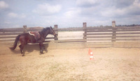 Ecuries de la Kil - Ecuries Windella - Centre Equestre à La Boissière-École