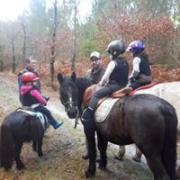 Ecuries de Talaris - Randonnée à Cheval, Randonnée Poney, Ecurie de propriétaires à Lacanau (33)