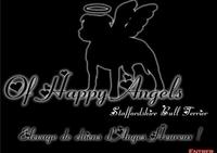 Elevage Of Happy Angels - Elevage Staffordshire Bull Terrier à Saint-Vincent-sur-Graon