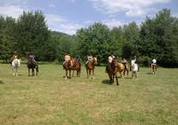 Enorand'O - Centre Equestre à Cublac