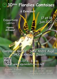 Epine de France - Exposition, Plantes, Fleurs, Artisanat à Saint-Hippolyte (25)